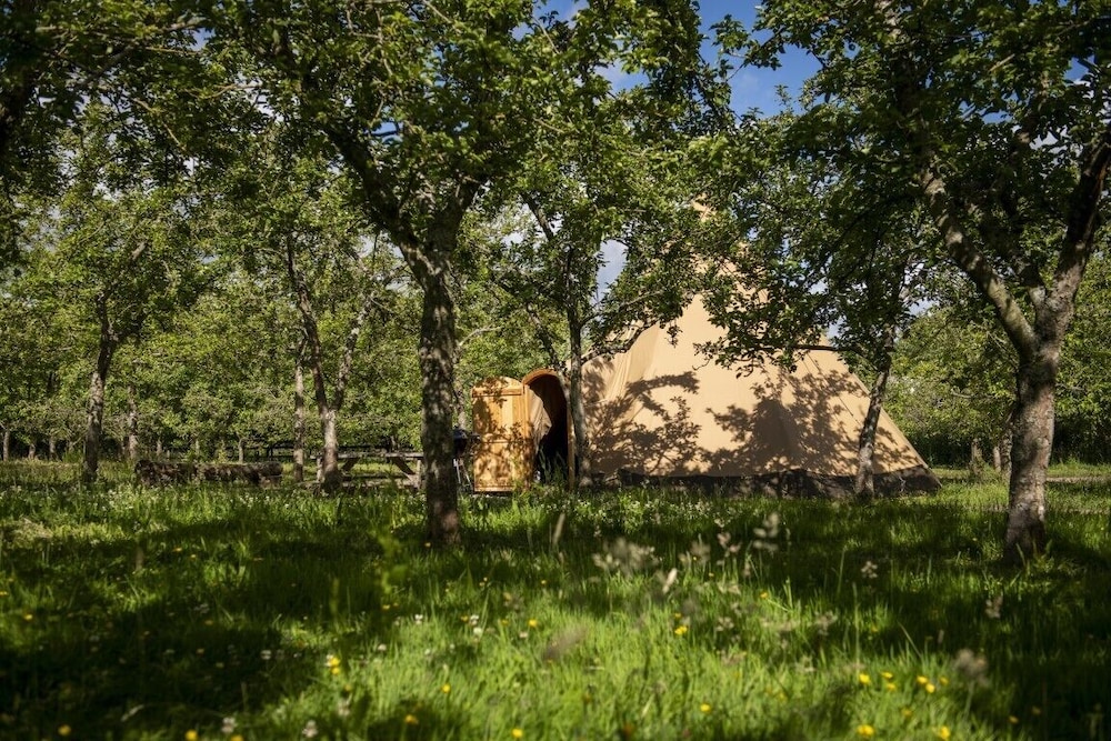 Torre Cider Farm — hotel in Watchet