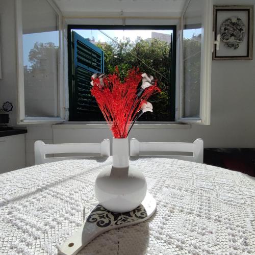 Apartman Janika Podgora in Podgora, Croatia