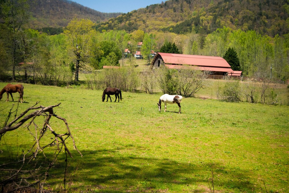 Country Hideaway at Mountain Lakes - photo 31