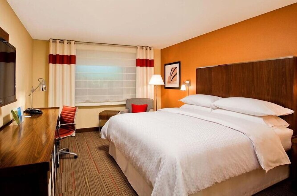 Four Points by Sheraton Mt Prospect O'Hare - photo 10