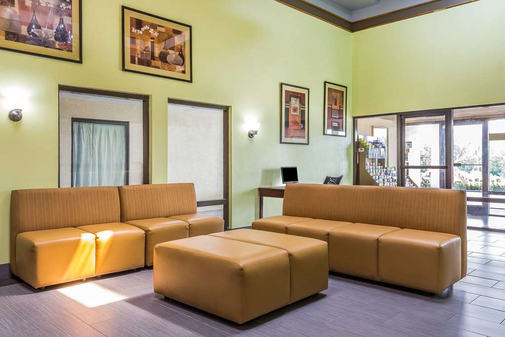 Rodeway Inn Knoxville East - photo 5