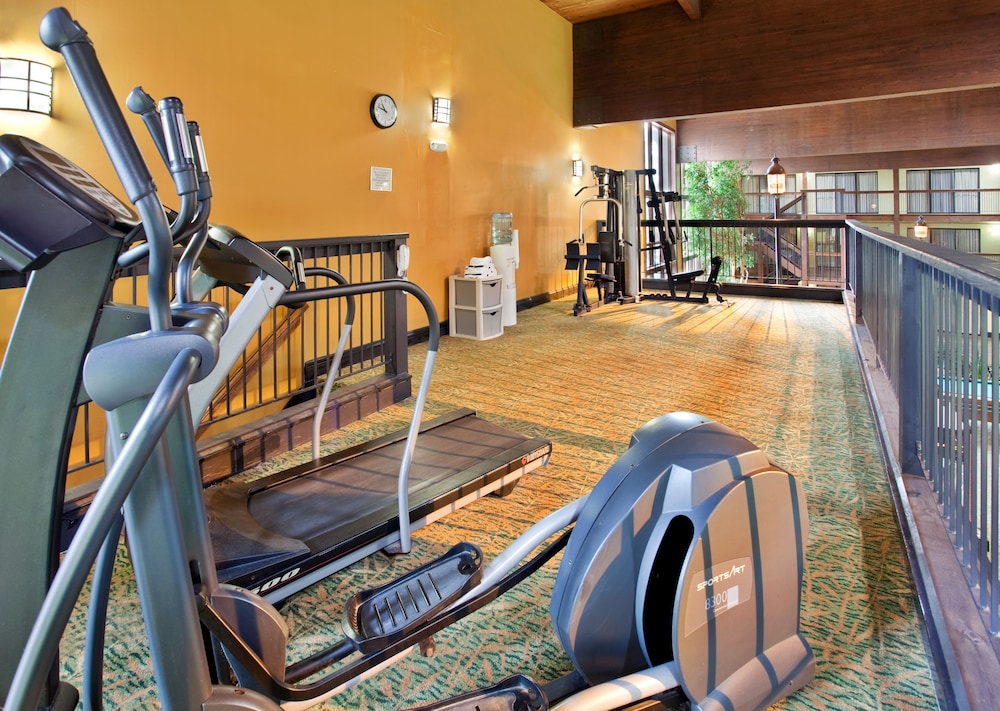 Holiday Inn St. Louis West Six Flags by IHG - photo 18