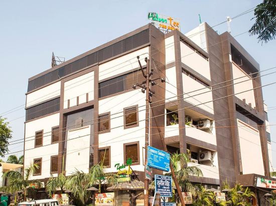 Palm Tree in Aligarh, India