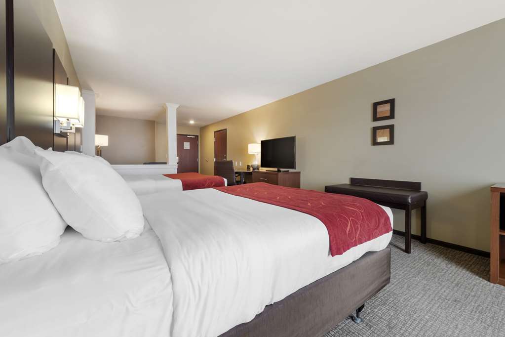 Comfort Suites and Conference Center - photo 9