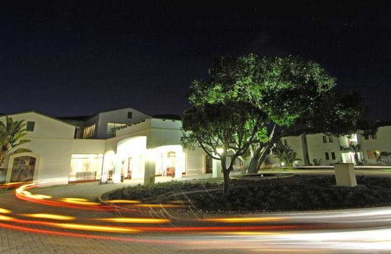 Protea Keurbooms River