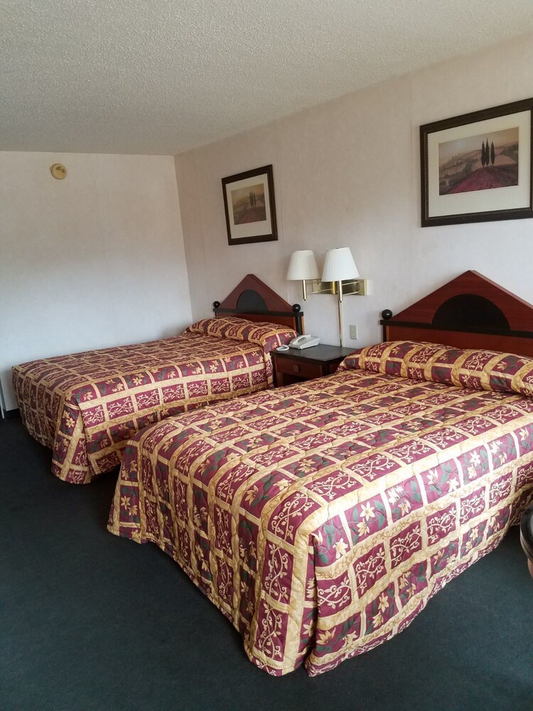 Shelaine Inn - photo 14