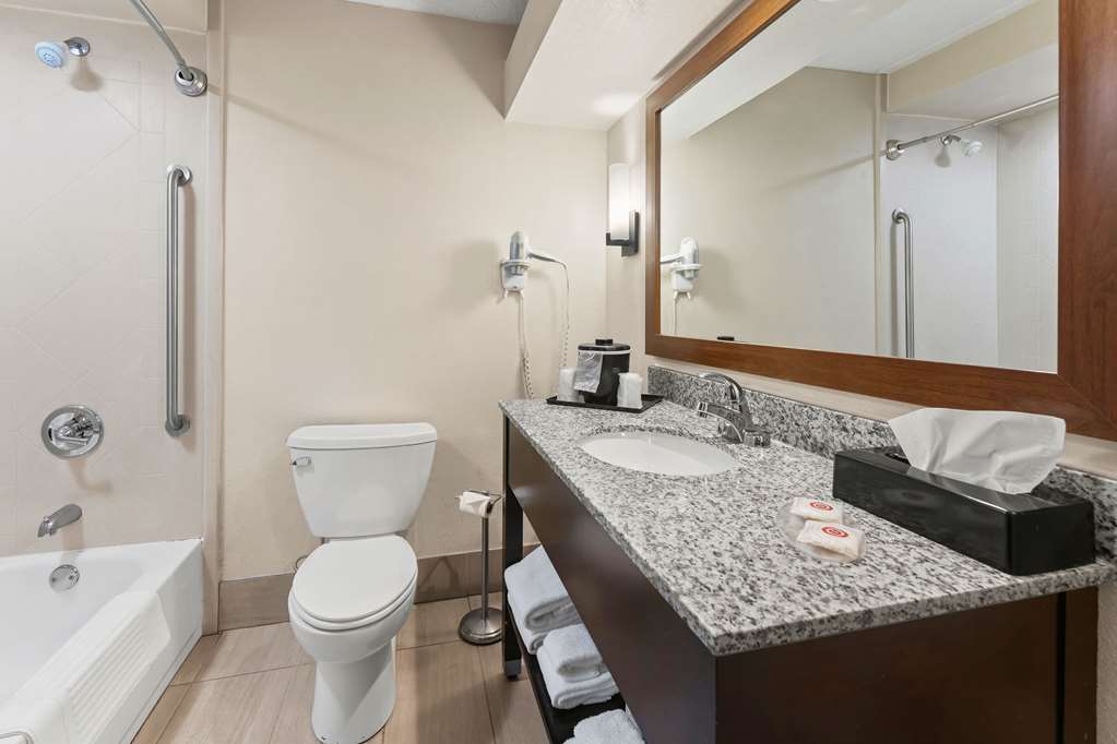 Comfort Inn Lehigh Valley West Allentown - photo 20