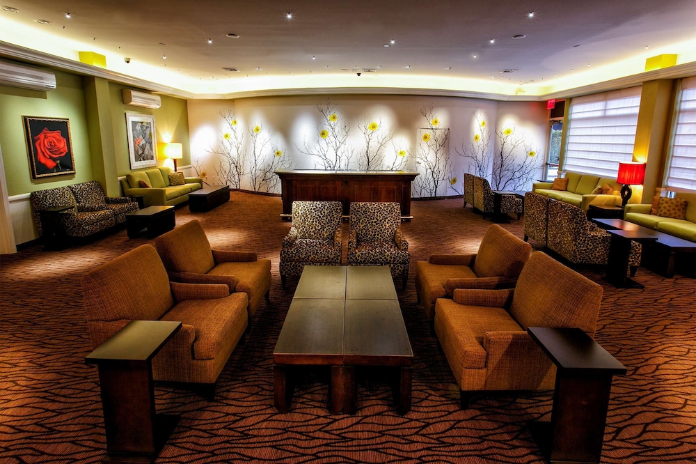 Hilton Garden Inn New York Staten Island - photo 7