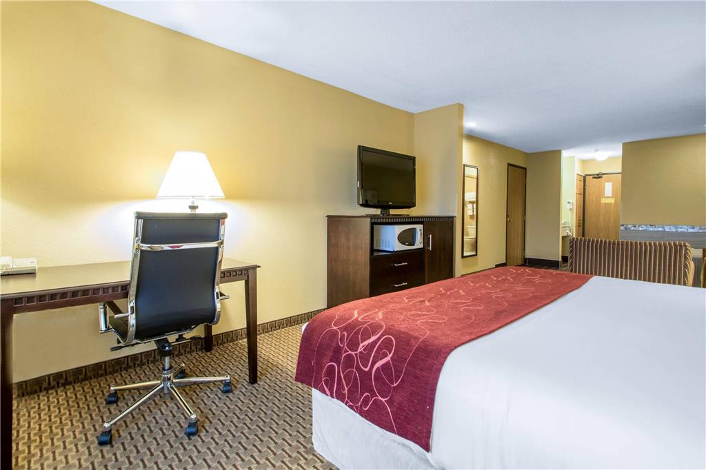 Comfort Suites Wisconsin Dells Area - photo 36