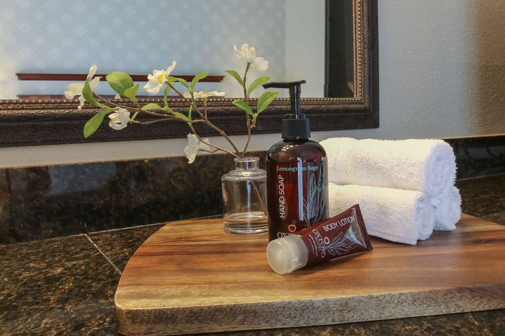 Oxford Suites Pismo Beach - photo 7