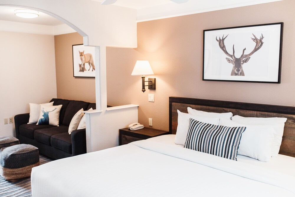 Inn at Mount Shasta - photo 8