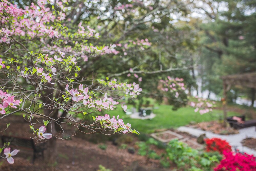 The Applewood Manor - photo 86