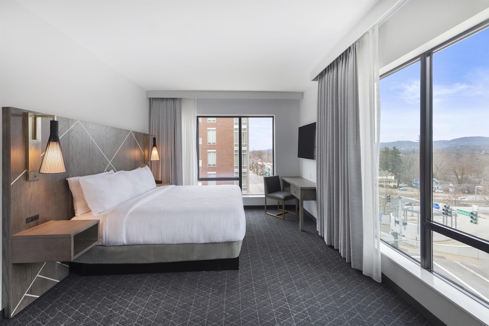 Embassy Suites By Hilton Asheville Downtown - photo 22