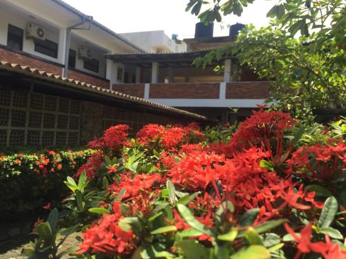 A Prima in Kalutara, Sri Lanka