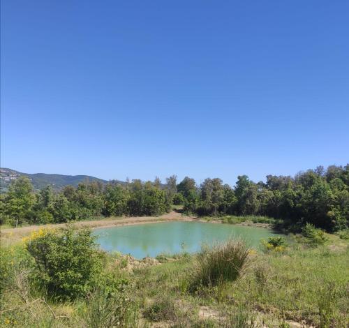 Rustico in un parco di lecci — 4-Star Luxury Hotel in Massa Marittima, Italy