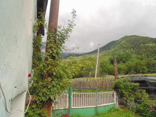 Jimsher Naveriani Guesthouse