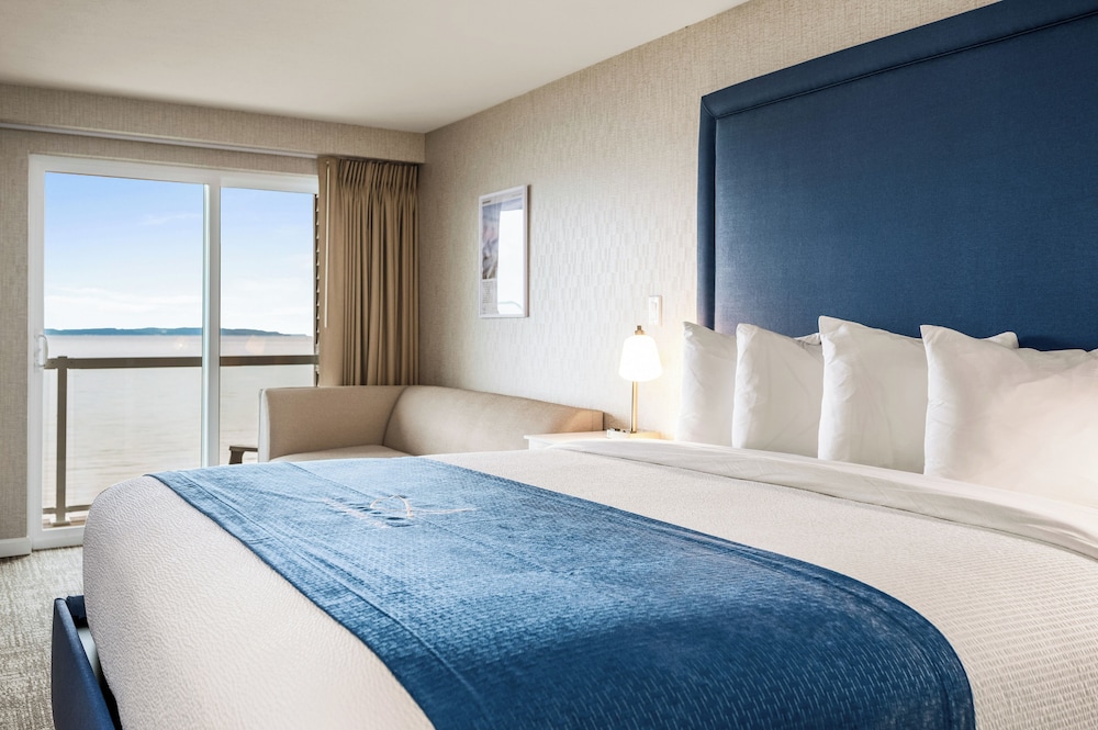 Alexandra Inn - photo 104