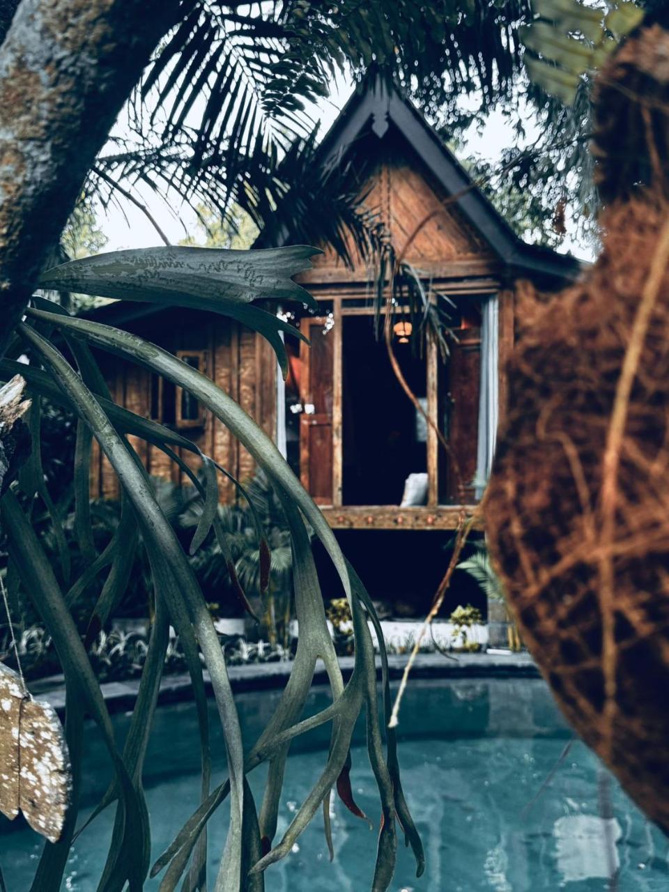 Resort Jungleroom Canggu