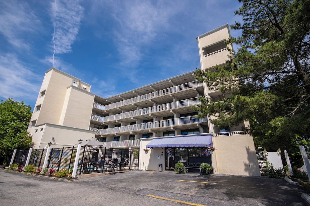 The Barefoot Mailman - featured photo