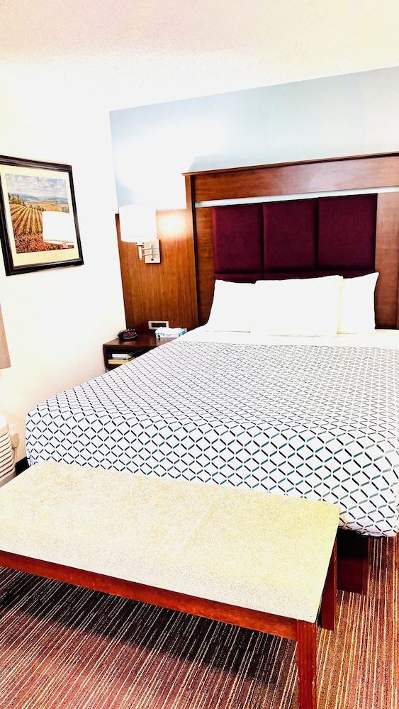 Morgan Inn And Suites - photo 7