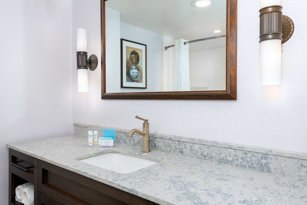 Hampton Inn Buffalo Williamsville - photo 30