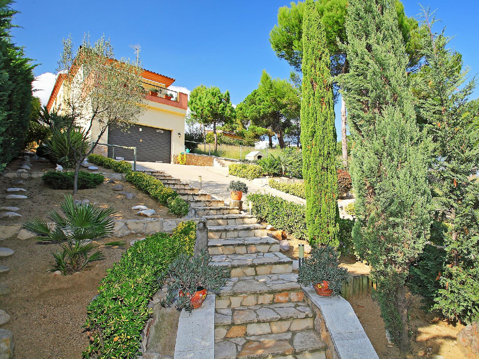 Figaro in Blanes, Spain