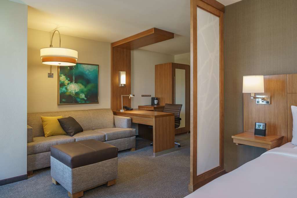 Hyatt Place Houston Galleria - photo 15