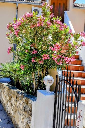 Apartments by the sea Kampor Rab 24630 — 4-Star Luxury Hotel in Rab, Croatia