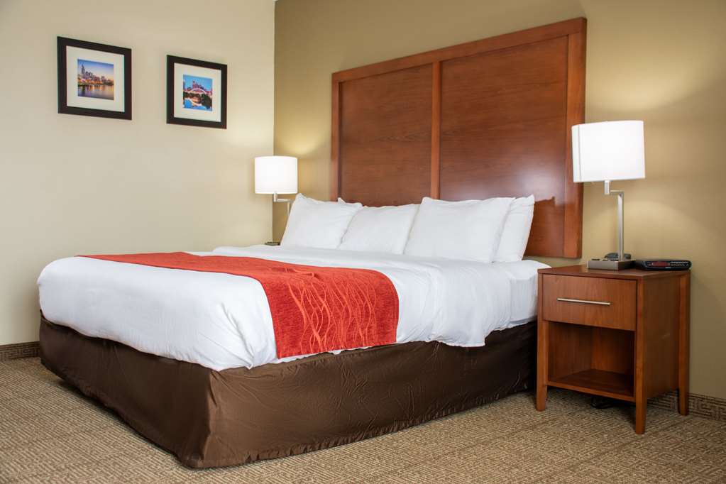 Comfort Inn Dickson - photo 10