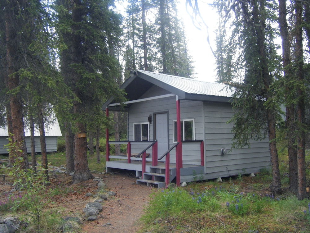 Denali Perch Resort - photo 46