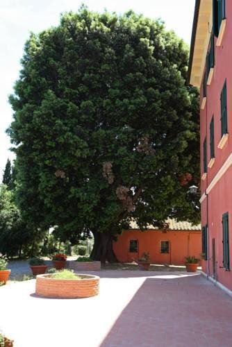 Fattoria di Collemezzano in Cecina, Italy