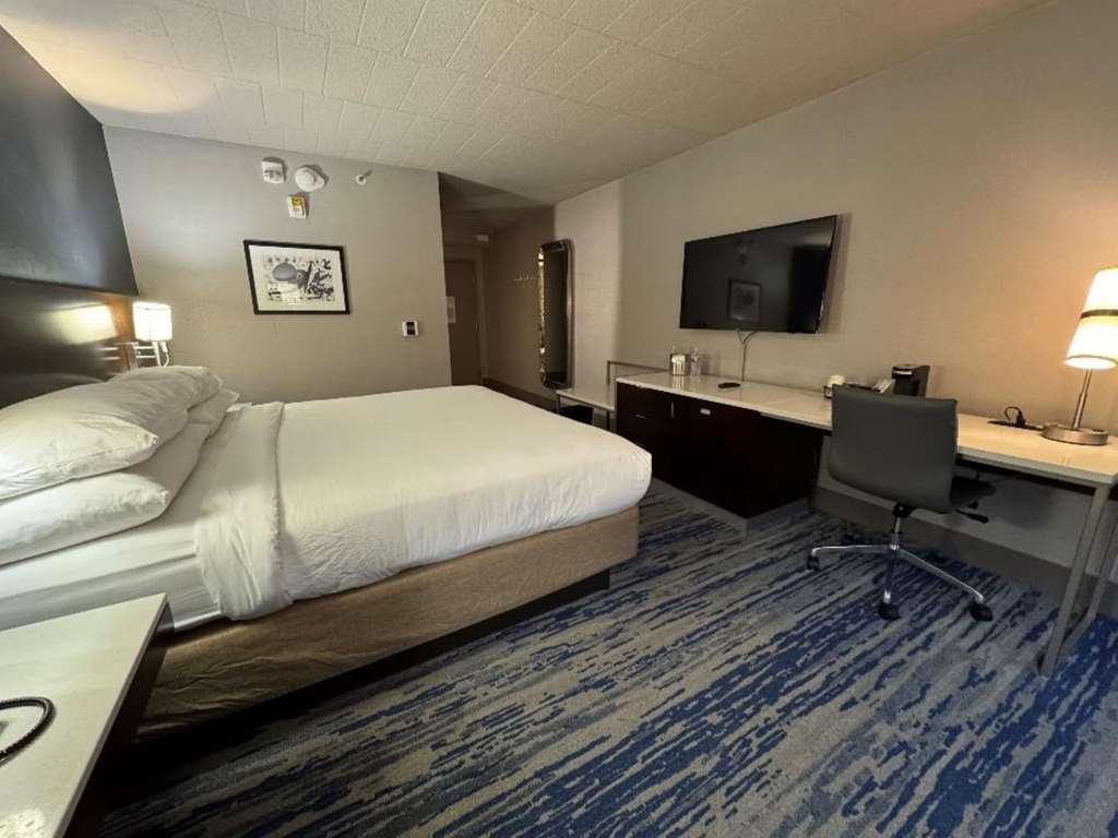 Skyline Hotel Detroit Airport SureStay Collection by BW - photo 19