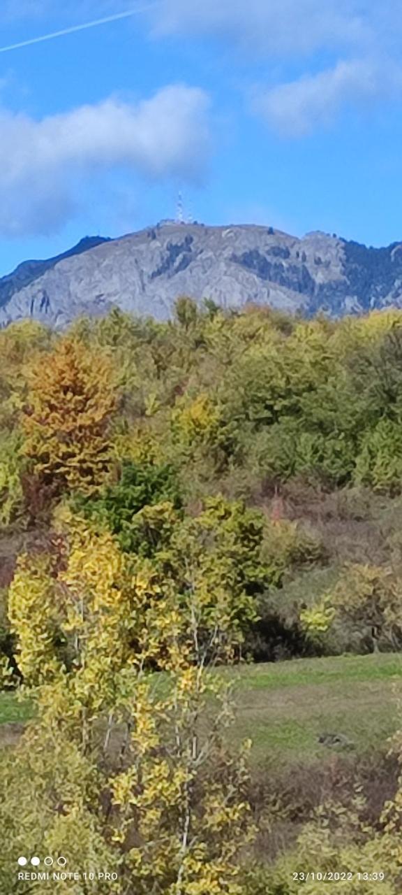 View Cozia — Calimanesti — photo 2