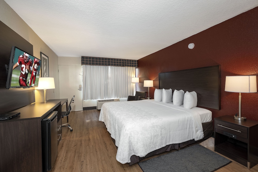 Red Roof Inn PLUS St Augustine - photo 13