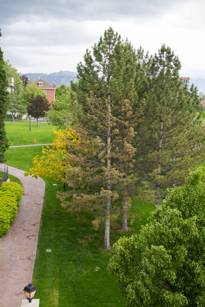 The Kimball at Temple Square - photo 87