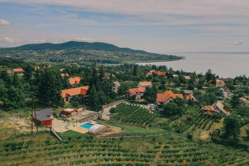 Villő Villa — Badacsonytomaj — photo 4