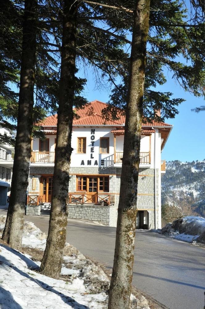 Hotel Anax — Metsovo — photo 5