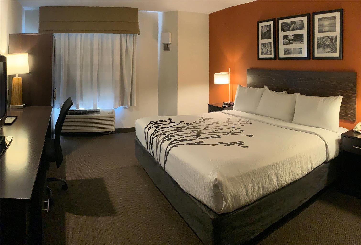 Sleep Inn Phoenix North I 17 - photo 10