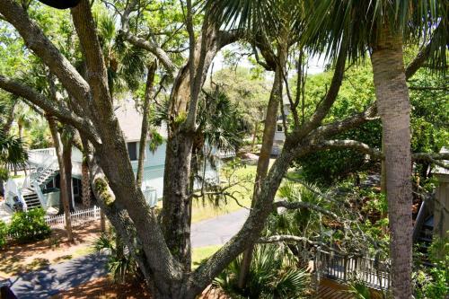 Oceanwood 113 - photo 89