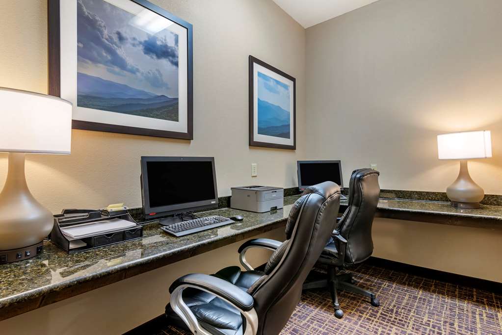 Comfort Inn & Suites Blue Ridge - photo 33