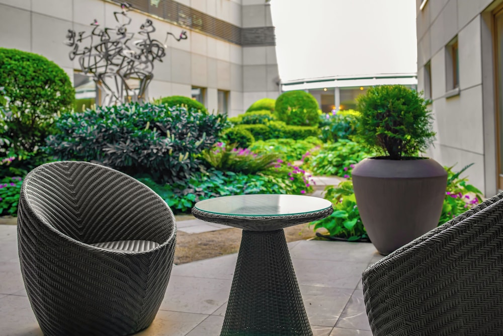 מרפסת / טרסה