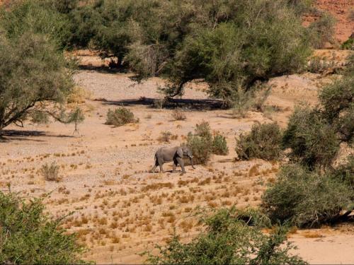 Ondjamba Hills — Khorixas — photo 4