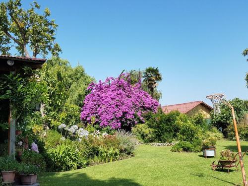 Sta. Marta B&B — Curico — photo 3