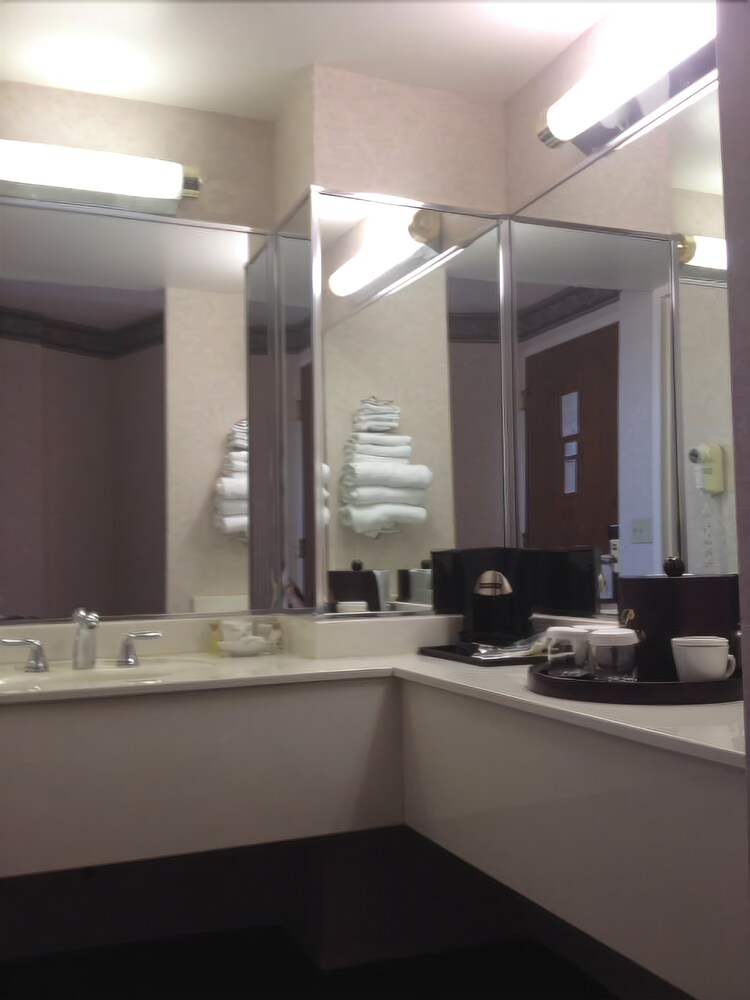 Best Western Plus Wausau Tower Inn - photo 25