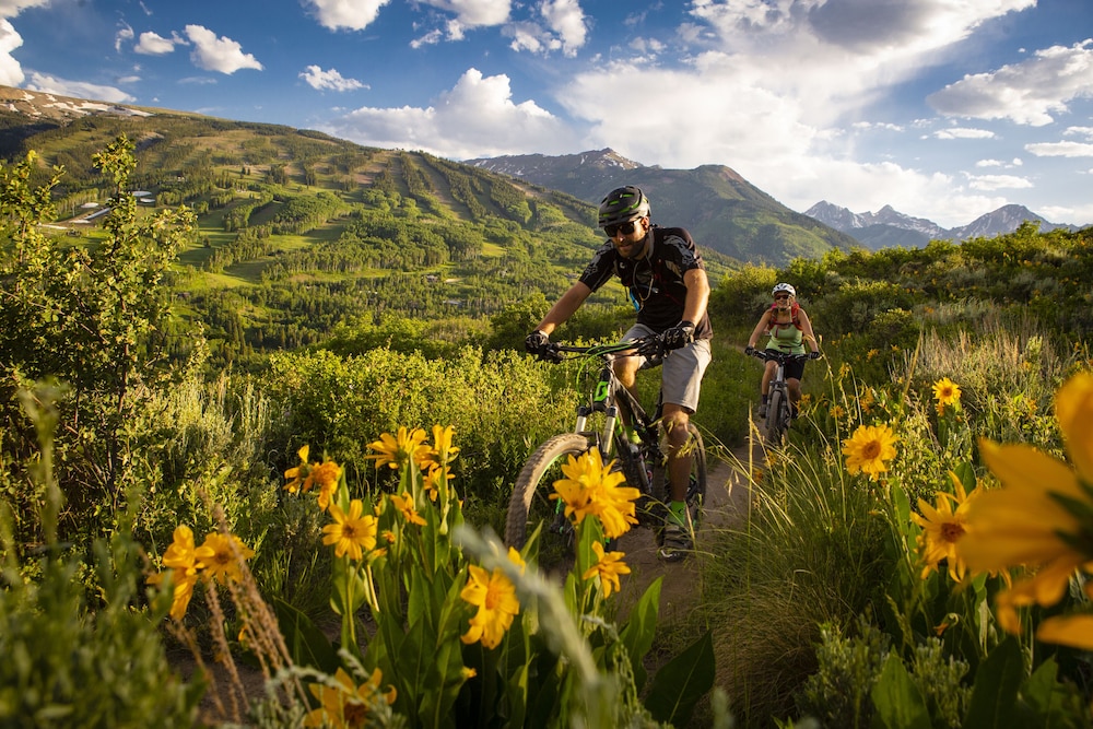 Viceroy Snowmass - photo 95