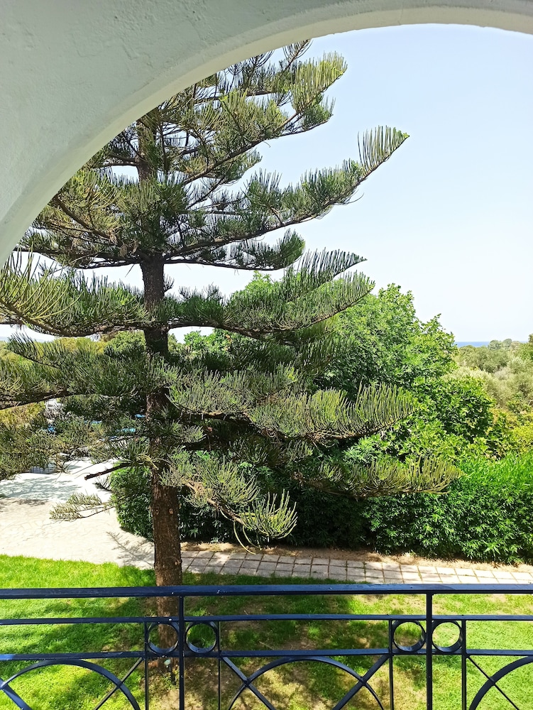Summer Dream Hotel — Rodos — photo 5