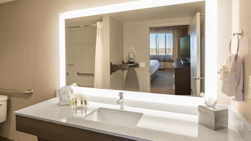 Holiday Inn Denver Lakewood by IHG - photo 21