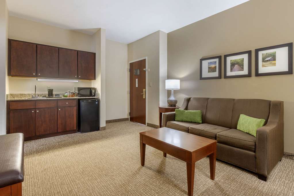 Comfort Suites Johnson City near University - photo 18