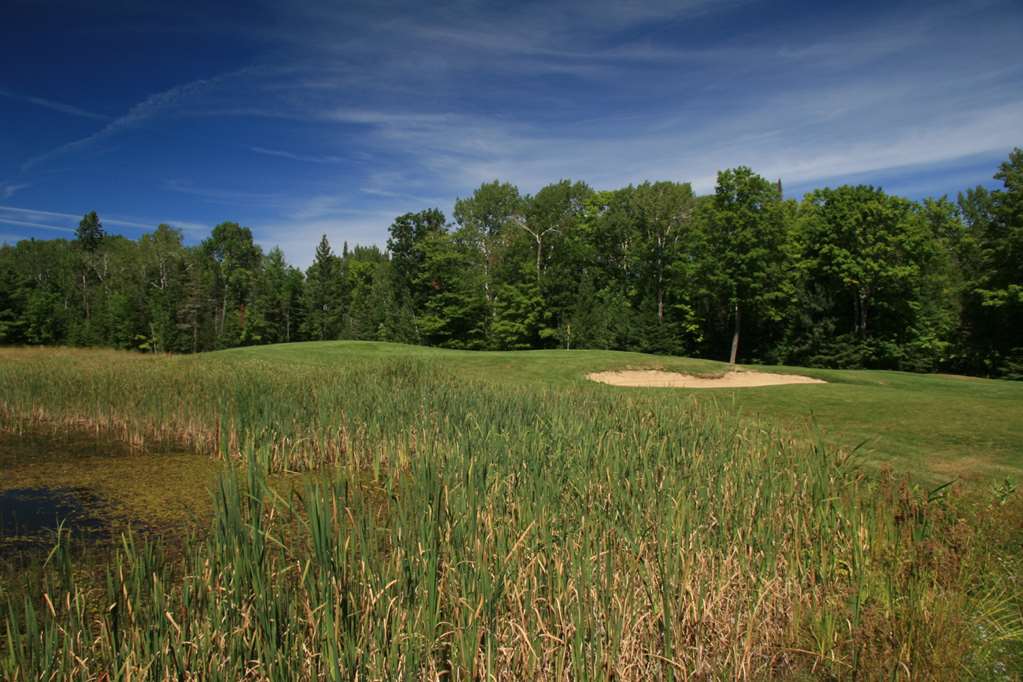 Drummond Island Resort - photo 20