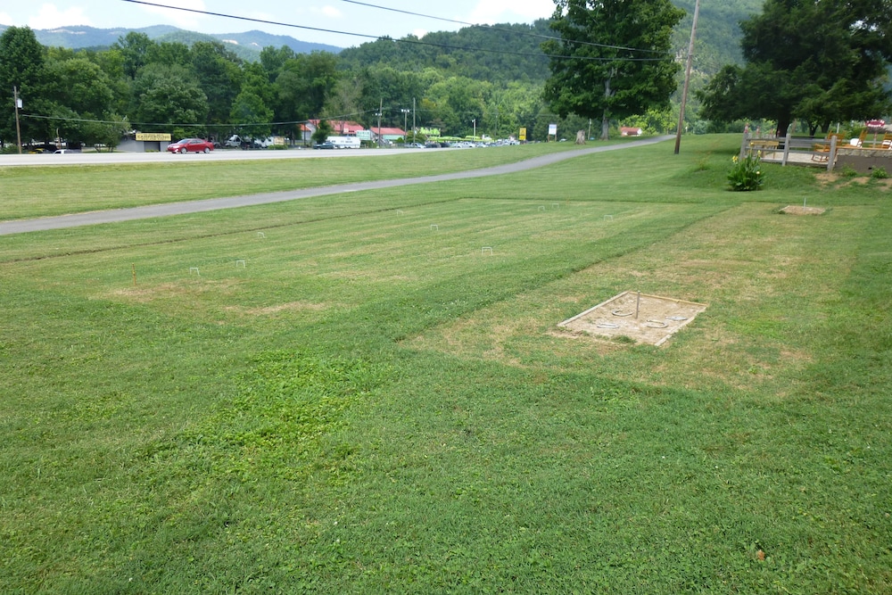 Townsend Gateway Inn - photo 25